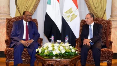 مصر تؤكد دعمها لوحدة السودان وترفض الكيانات الموازية حسب وزير الخارجية