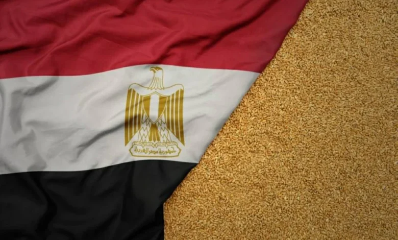 مصر تسعى لزيادة واردات القمح من بولندا وتعزيز تخزين الحبوب