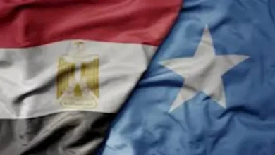 مصر تعزز دعم وحدة واستقرار الصومال خلال زيارة رسمية لمقديشو