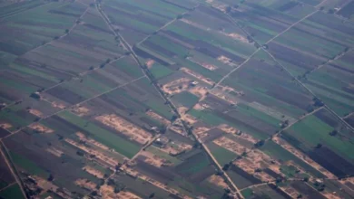 مصر تعيد هيكلة رسوم تصدير الأسمدة في ظل تقلبات الأسواق العالمية