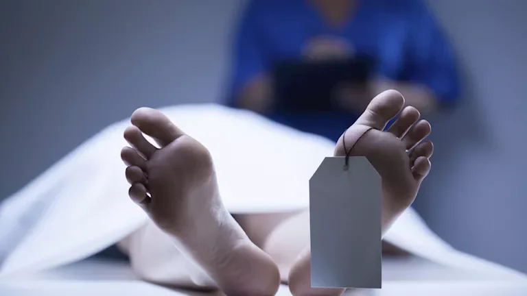 "مقتل سائق ذبحاً في المرج بسبب جملة 'عيب في بنات'"