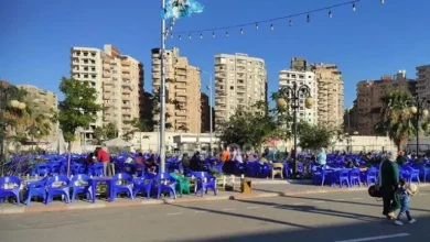 نادي دمنهور يجهز شاشة عملاقة وآلاف المقاعد لمباراة مصر وبلجيكا