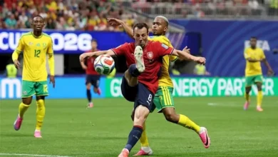 هدف جنوب أفريقيا في مرمى التشيك بكأس العالم (فيديو) 2 هدف جنوب أفريقيا في مرمى التشيك بكأس العالم (فيديو)