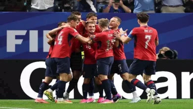 هدف منتخب التشيك في مرمى جنوب أفريقيا بكأس العالم (فيديو)