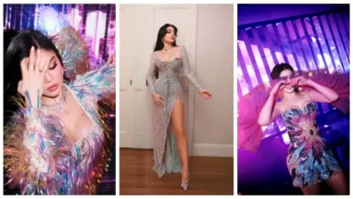 هيفاء وهبي تستعد لجولة غنائية عالمية تشمل 14 حفلا في 10 دول حتى 2027