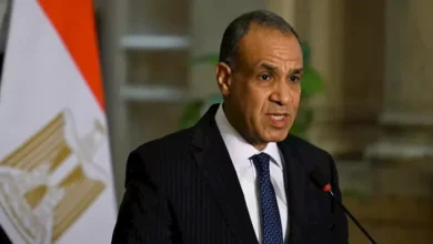 وزير الخارجية المصري يؤكد دعم مصر القوي للبنان في ظل التحديات