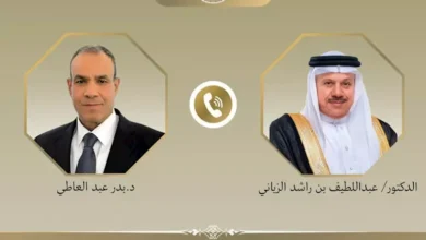 وزير الخارجية يؤكد على أهمية تأمين الملاحة في المنطقة