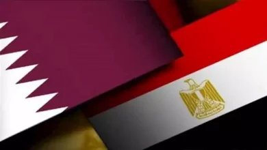 وزير الخارجية يبحث مع نظيره القطري آخر التطورات الإقليمية
