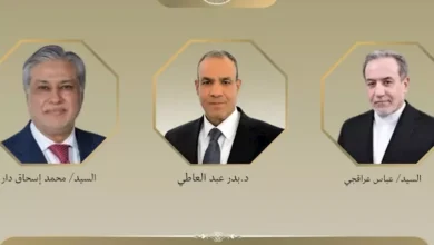 وزير الخارجية يناقش مع نظيريه الباكستاني والإيراني تطورات مفاوضات إيران وأمريكا