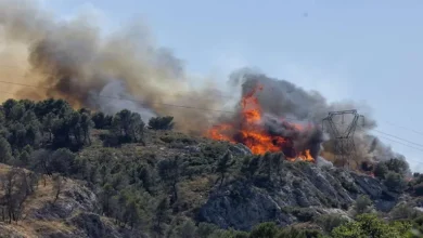 آلاف اللاجئين من حرائق الغابات في فرنسا خلال موجة حر بجنوب أوروبا 3 آلاف اللاجئين من حرائق الغابات في فرنسا خلال موجة حر بجنوب أوروبا