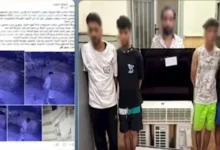 ابن في حلوان يسرق شقة والده بمساعدة أصدقائه