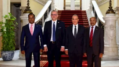 اجتماعات وزير الخارجية في القاهرة لتعزيز السلم والأمن بالقرن الإفريقي 2 اجتماعات وزير الخارجية في القاهرة لتعزيز السلم والأمن بالقرن الإفريقي