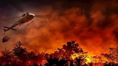 ارتفاع عدد القتلى إلى 6 في الجزائر جراء موجة الحرائق المستمرة