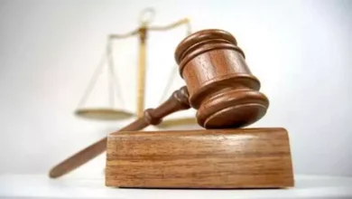 استكمال محاكمة 5 متهمين في قضية "خلية داعش السيدة زينب" يوم السبت المقبل 2 استكمال محاكمة 5 متهمين في قضية "خلية داعش السيدة زينب" يوم السبت المقبل