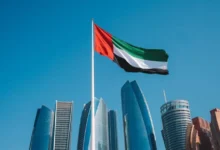 الإمارات الأولى عربياً في جذب الاستثمار الأجنبي بـ48.2 مليار دولار