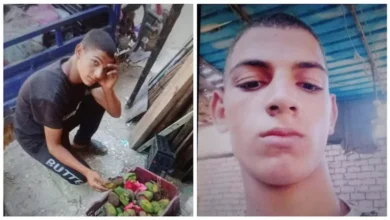 البحث عن سائق تروسيكل سقط في نهر النيل بعد تصادم في التبين