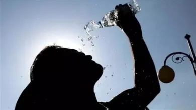 الجفاف يؤثر على أكثر من نصف إنجلترا في ظل موجة حر استثنائية