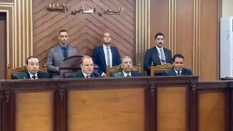 الحكم على 7 متهمين في خلية الهيكل الإداري للإخوان بتاريخ 17 سبتمبر