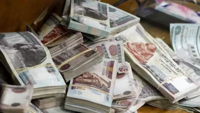 الداخلية العراقية تضبط 4 ملايين جنيه من تجار العملة وتستولي على 8 أطنان من الدقيق