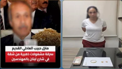 الداخلية تكشف تفاصيل سرقة "شقة حبيب العادلي" وتوضح دور المفتاح المصطنع و"صديقة الزوجة" في الحادثة 2 الداخلية تكشف تفاصيل سرقة "شقة حبيب العادلي" وتوضح دور المفتاح المصطنع و"صديقة الزوجة" في الحادثة