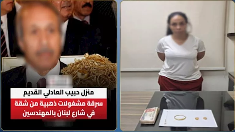 الداخلية تكشف تفاصيل سرقة "شقة حبيب العادلي" وتوضح دور المفتاح المصطنع و"صديقة الزوجة" في الحادثة 1 الداخلية تكشف تفاصيل سرقة "شقة حبيب العادلي" وتوضح دور المفتاح المصطنع و"صديقة الزوجة" في الحادثة