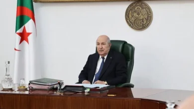 الرئيس تبون يعلن عن تطورات جديدة في قضية اعتداء مغاربة على الطفل وسيم