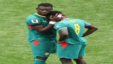 الشيبي يثير الجدل بعد خروج السنغال من كأس العالم بشكل مفاجئ