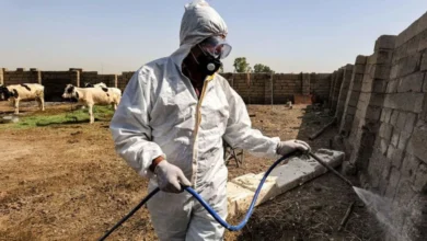 الصحة تسجل 270 إصابة مؤكدة و17 وفاة بالحمى النزفية منذ بداية العام