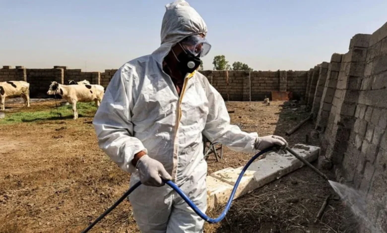 الصحة تسجل 270 إصابة مؤكدة و17 وفاة بالحمى النزفية منذ بداية العام