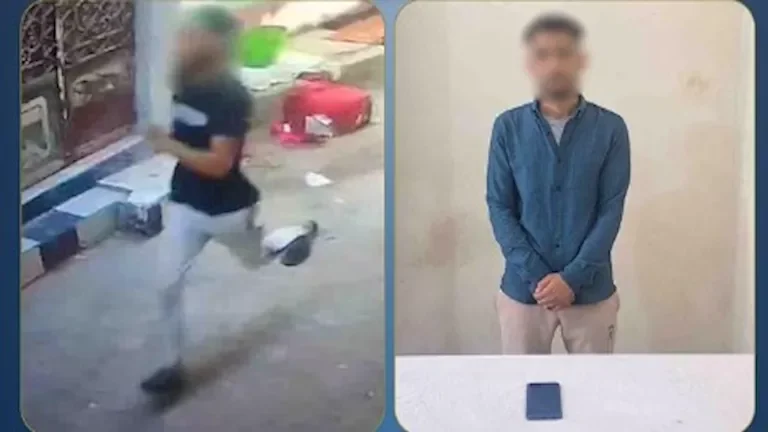 القبض على لص سرق هاتف سيدة في البحيرة