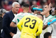 المنتخب الجزائري يختار خليفة المدرب بيتكوفيتش 39 المنتخب الجزائري يختار خليفة المدرب بيتكوفيتش