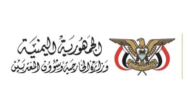 اليمن: الخارجية تنفي استهداف سفينة في ميناء دمياط