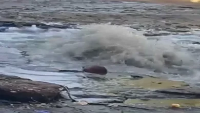 انفجار ماسورة مياه يعطل حركة المرور في شارع التسعين بالتجمع 4 انفجار ماسورة مياه يعطل حركة المرور في شارع التسعين بالتجمع