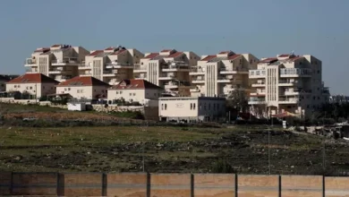 بلجيكا تفرض حظراً على استيراد المنتجات من المستوطنات الإسرائيلية 3 بلجيكا تفرض حظراً على استيراد المنتجات من المستوطنات الإسرائيلية