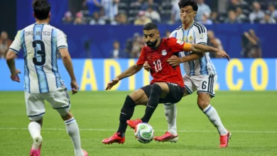 تعليق نجم روسي على هدف مصر الملغى يثير إعادة نشره من قبل علاء مبارك ونجيب ساويرس