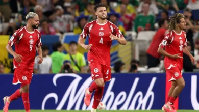 جدول المباريات والترتيب لمجموعة تونس في تصفيات أمم أفريقيا 2027 3 جدول المباريات والترتيب لمجموعة تونس في تصفيات أمم أفريقيا 2027