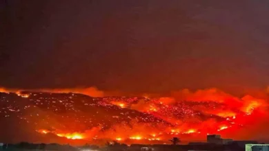 حرائق وموجة حر في الجزائر وتونس: صيف استثنائي يهدد المناطق المتضررة