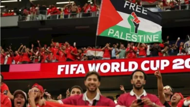 حسام حسن يحتفل بفوز مصر ويبرز دعم فلسطين وغزة في الإعلام العبري
