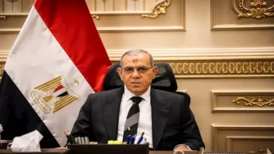 رئيس محكمة النقض يعلن الحركة القضائية لعام 2026