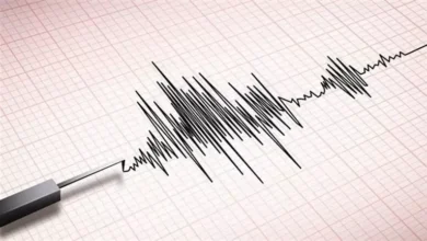 زلزال بقوة 4.6 درجات يضرب جنوب شرق إيران ويثير القلق