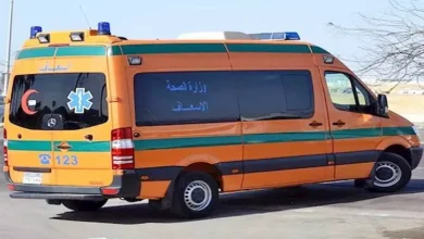 سائق ميكروباص يعتدي على راكب بطعنة في القاهرة بعد اعتراضه على تغيير خط السير