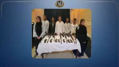 "سيدات يحملن بنادق في حفل زفاف بقنا والأمن يتدخل لضبط الوضع" 4 "سيدات يحملن بنادق في حفل زفاف بقنا والأمن يتدخل لضبط الوضع"