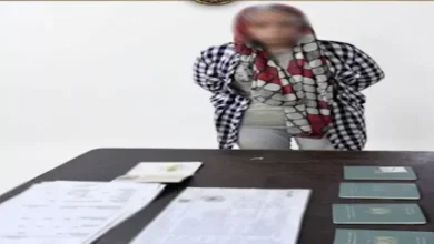 "سيدة تستخدم حيلة 'الباسبور عليك والسفر علينا' للنصب على الباحثين عن العمل في الخارج"