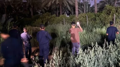 شرطة البيئة تنفي هروب أسود في التاجي وتؤكد استقرار الأوضاع 3 شرطة البيئة تنفي هروب أسود في التاجي وتؤكد استقرار الأوضاع