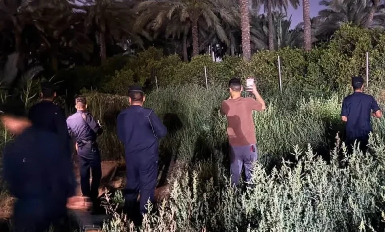 شرطة البيئة تنفي هروب أسود في التاجي وتؤكد استقرار الأوضاع 1 شرطة البيئة تنفي هروب أسود في التاجي وتؤكد استقرار الأوضاع