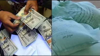 ضبط 21 طن من الدقيق المدعم و5 ملايين جنيه في جرائم عملة أجنبية خلال 24 ساعة