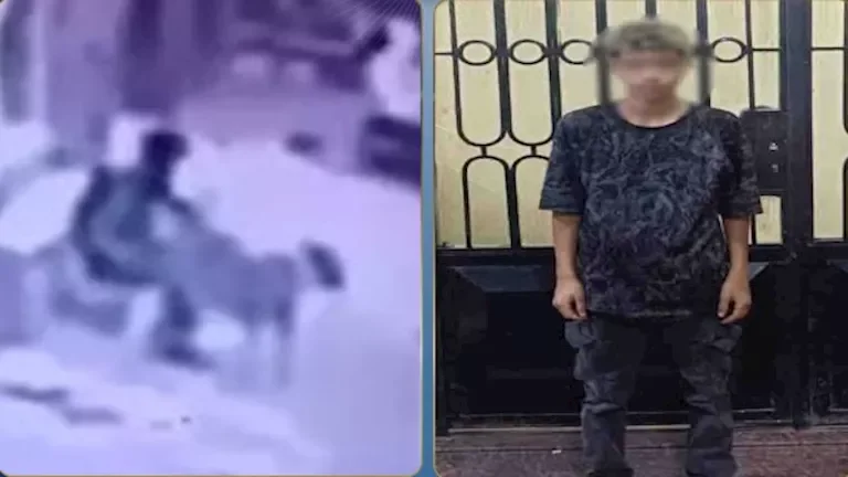 ضبط المتهم بالتعدي على كلب ضال في المنوفية بعد انتشار فيديو يثير الجدل
