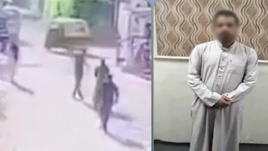 ضبط المتهم في اعتداء على فتاة بالبحيرة وكشف ملابسات الفيديو المتداول 2 ضبط المتهم في اعتداء على فتاة بالبحيرة وكشف ملابسات الفيديو المتداول