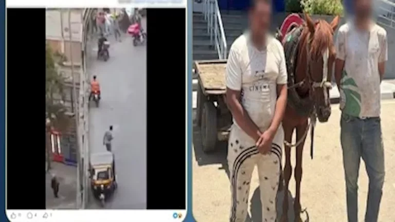 ضبط المتهمين في حادثة عربة كارو تسير عكس الاتجاه في القاهرة وكشف ملابسات الفيديو 1 ضبط المتهمين في حادثة عربة كارو تسير عكس الاتجاه في القاهرة وكشف ملابسات الفيديو