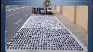 ضبط تشكيل عصابي شديد الخطورة في السويس بحوزته 2 طن مخدرات تقدر قيمتها بـ 125 مليون جنيه